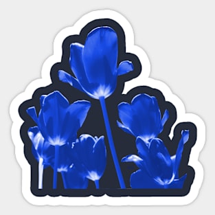 Tulips blue Sticker